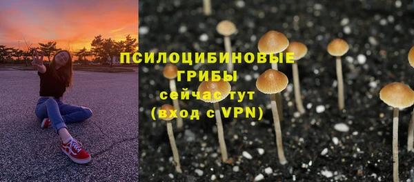 mdpv Алексин