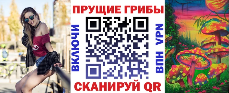 Псилоцибиновые грибы ЛСД Навашино